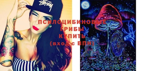 ешки Абинск