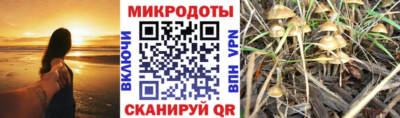 наркошоп  Апшеронск  hydra ссылка  Псилоцибиновые грибы MAGIC MUSHROOMS 